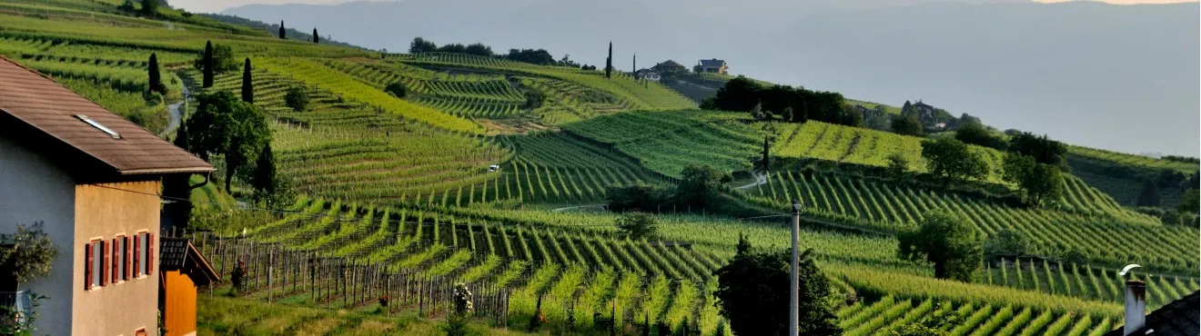 Agriturismo Sostenibile: Un Approccio Ecologico alla Tradizione Rurale Italiana Agriturismo Sostenibile: Un Approccio Ecologico alla Tradizione Rurale Italiana