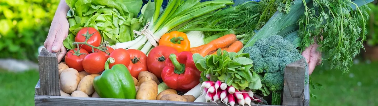 L importanza della diversificazione nelle aziende agricole | AgriCook